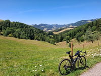 Bärenwil von Hägendorf