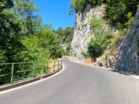Bärenwil von Hägendorf