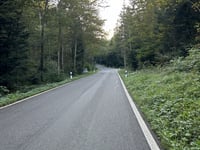 Bärenwil von Hägendorf