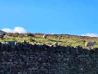 Barley Hill / Cross Lane da Barley