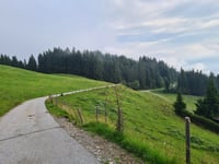 Barmerberg von Itter