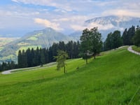 Barmerberg von Itter