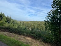 Barrage du Ry de Rome da Petigny