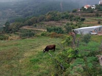 Barragem Cimeira do Alvão depuis Vila Real par Lordelo