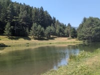 Bassa d'Arres z Arres de Sus