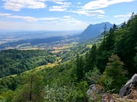 Bättlerchuchi vanuit Herbetswil
