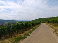 Batzenberg da Öhlinsweiler