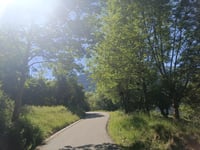 Bausen von Pontaut
