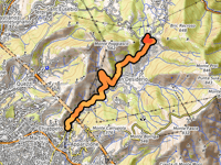 Bavari from Borgoratti