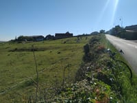 Bazinghen von Le Bail