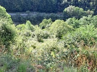 Beaumont über La Roche