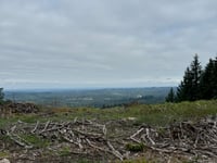 Signal de Beausoleil von Compreignac