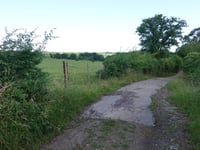 Bechheim from Hahn