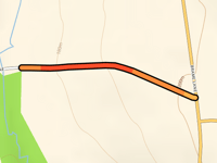 Bedlam Lane