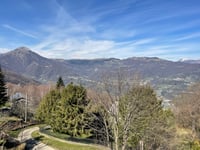 Bedulita depuis Cepino