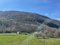 Bedulita depuis Cepino