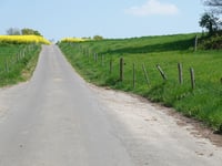 Beecker Weg von Leiffarth