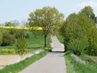 Beecker Weg von Leiffarth