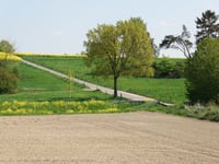 Beecker Weg von Leiffarth