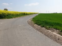 Beecker Weg von Leiffarth