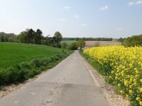 Beecker Weg von Leiffarth