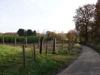 Beekerveld von Kelmond
