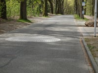 Beelaertslaan via Graaf van Rechterenweg