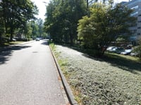 Beethovenlaan vanuit Dalweg