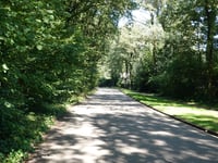 Beethovenlaan vanuit Dalweg