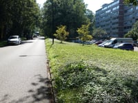 Beethovenlaan vanuit Dalweg