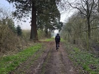 Beginenberg par Schwarzer Weg