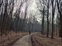 Beginenberg par Schwarzer Weg