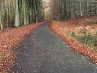 Beginenberg via Schwarzer Weg