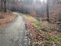 Beginenberg par Schwarzer Weg