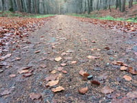 Beginenberg par Schwarzer Weg