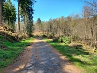 Beginenberg por Schwarzer Weg