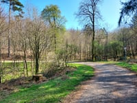 Beginenberg por Schwarzer Weg