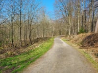 Beginenberg por Schwarzer Weg