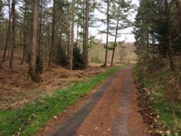 Beginenberg par Schwarzer Weg