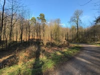 Beginenberg par Schwarzer Weg