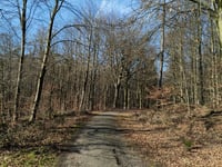 Beginenberg par Schwarzer Weg