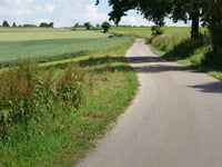 Beilerheide