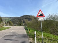 Belchen desde Münstertal por Oberneuhof
