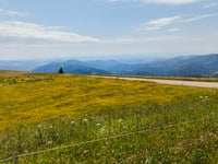 Belchen von Münstertal