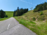 Belchen von Münstertal