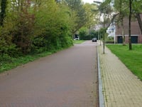 Belgenlaan via Prins Constantijnlaan