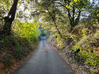 Belle Combe