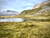 Bellecombe / Plan du Lac von Val Cenis