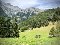 Bellecombe / Plan du Lac von Val Cenis