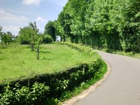 Cottessen